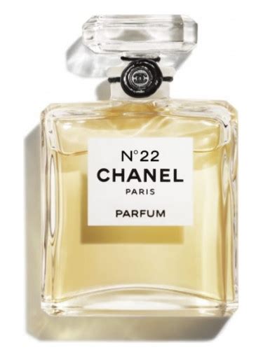 where can i buy chanel 22 perfume|chanel 22 perfume for women.